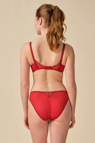 Gossard Viva Red Sheer Embroidered Bikini Panties