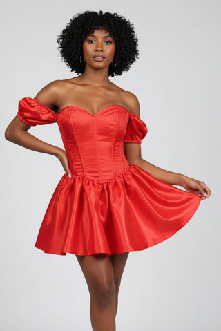 Top Drawer Steel Boned Red Brocade & Taffeta Corset Dress