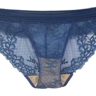 Sheer Lace Bikini Panty Sawren Wish
