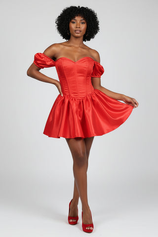 Top Drawer Steel Boned Red Brocade & Taffeta Corset Dress